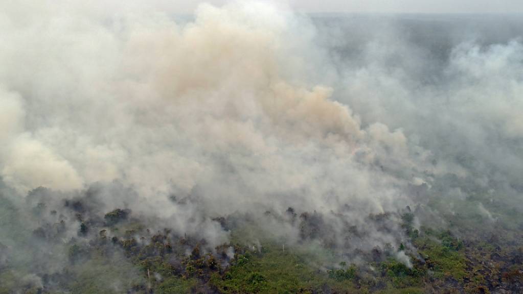 Seit zwei Wochen wüten auf Borneo schwere Waldbrände, nun hat die Luftverschmutzung ein gefährliches Niveau in Teilen der Insel erreicht. Im malaysischen Bundesstaat Sarawak im Nordwesten Borneos sind die hohen Schadstoffwerte laut Behördenangaben nunmehr gesundheitsschädlich. (Archivbild)
