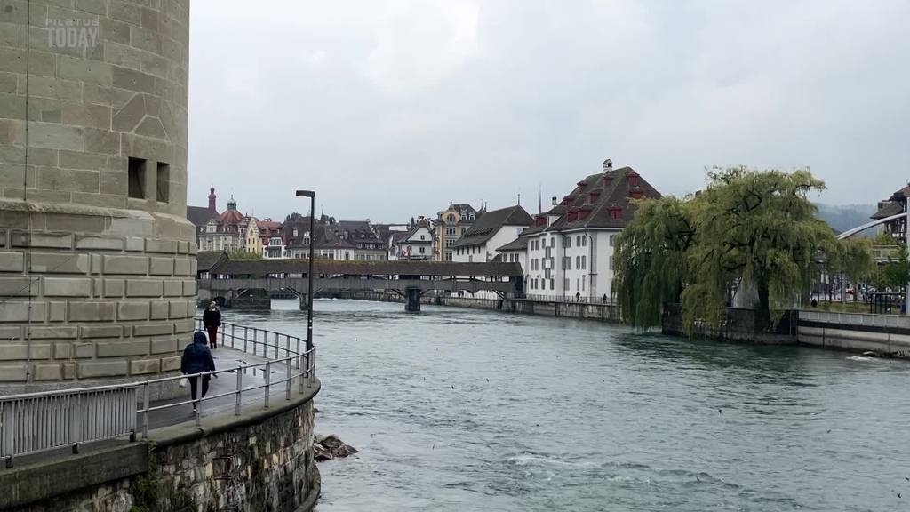 Schwalben in Luzern gestrandet