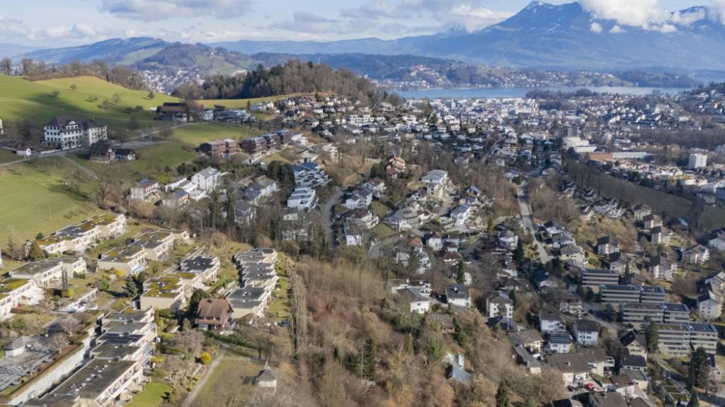 Weinhalde am Krienser Sonnenberg soll nicht Bauland werden