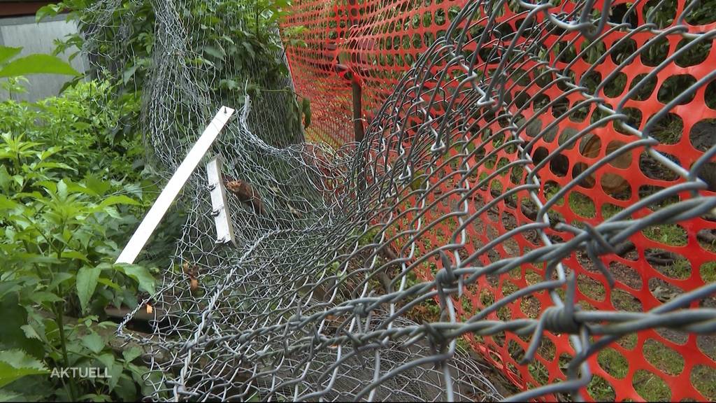 Schwerer Schlag: Das Unwetter trifft die Derendinger Kleintierzüchter besonders hart