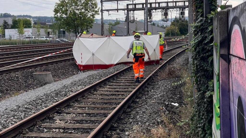 Zwischen Schlieren und Zürich-Altstetten ist am Dienstagvormittag ein Gleisarbeiter von einem Zug erfasst und tödlich verletzt worden.