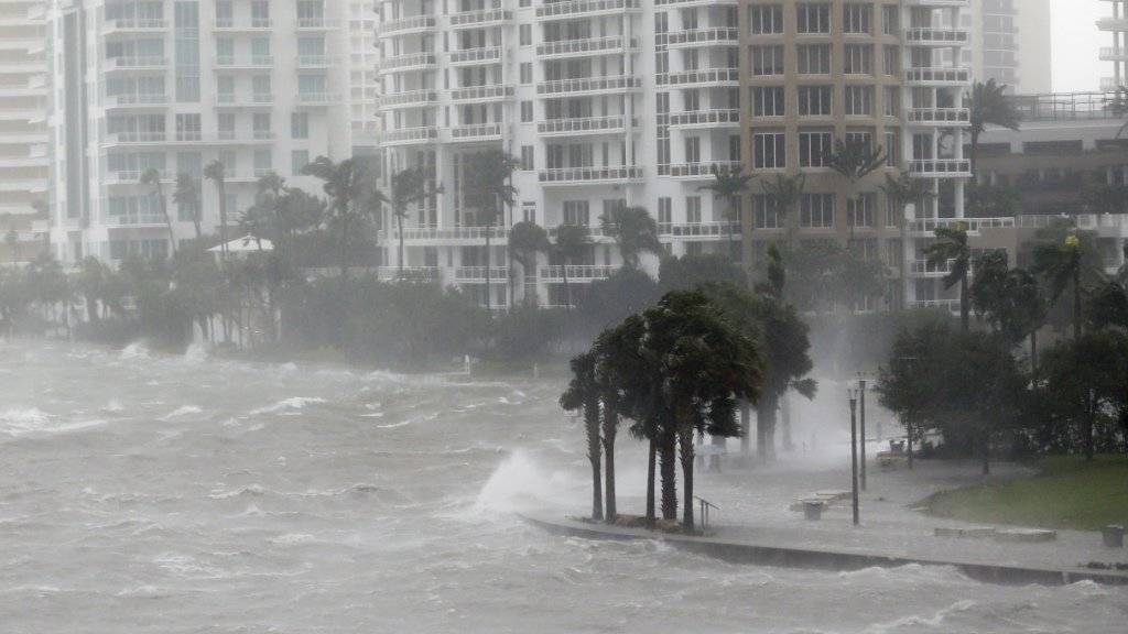 Hurrikan Irma sorgte im September 2017 für Fluten in Biscayne Bay im US-Bundesstaat Florida. (Archivbild)