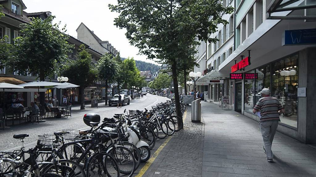 Die Thuner Stadtbäume reagieren zunehmend empfindlicher auf Trockenperioden im Sommer. (Archivbild)