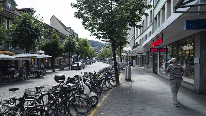 Wegen Hitze und Bibern: Stadt Thun muss 40 Bäume ersetzen