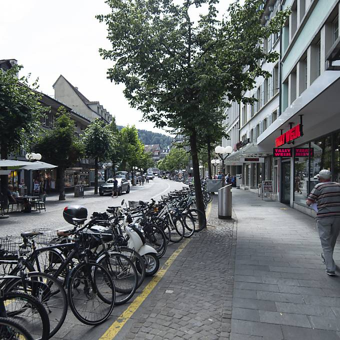 Wegen Hitze und Bibern: Stadt Thun muss 40 Bäume ersetzen
