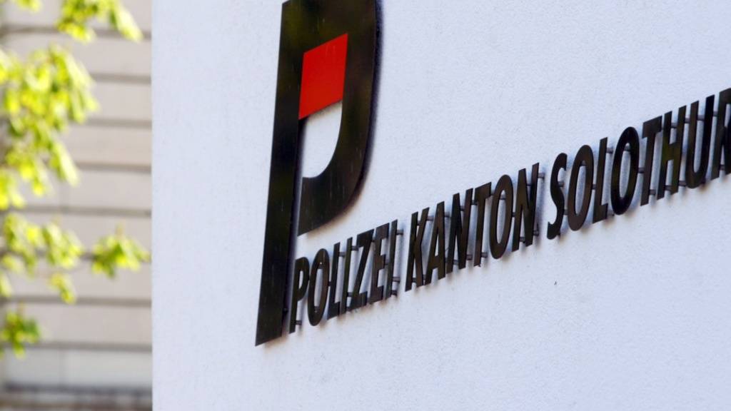 Die Kantonspolizei Solothurn hat einen 24-jährigen Mann festgenommen. Er soll eine junge Frau im Bahnhof Olten unsittlich angefasst haben. (Symbolbild)
