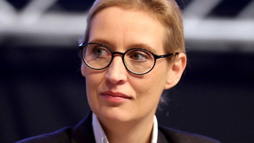 In die Enge getrieben: AfD-Fraktionschefin Alice Weidel steht im Fokus der Konstanzer Staatsanwaltschaft.