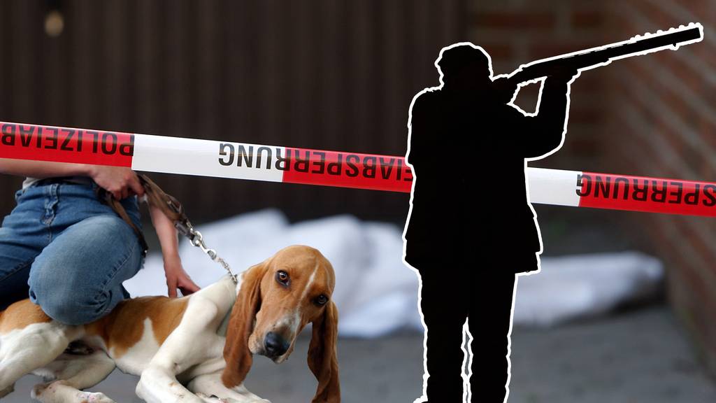 60-Jähriger soll aus Rache zwei Hunde getötet haben.