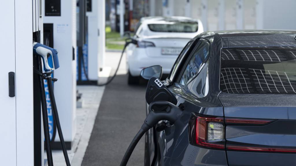 Aufgrund der steigenden Ölpreise gewinnen Elektroautos an Beliebtheit. (Symbolbild)