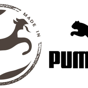 Thurgauer Hund besiegt Puma