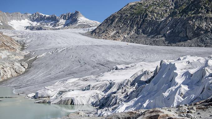 Gletscher-Viren in Alpen und Arktis bemerkenswert ähnlich