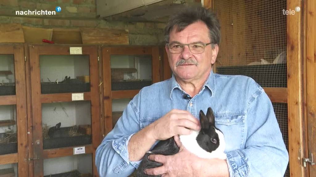 Kanin-Hop: Kaninchen aus Küssnacht zeigen ihr Geschick