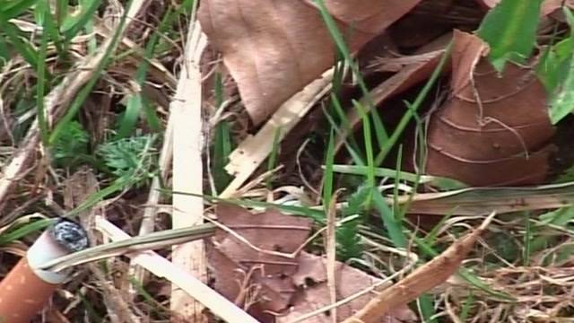 Waldbrandgefahr in Bern und Solothurn