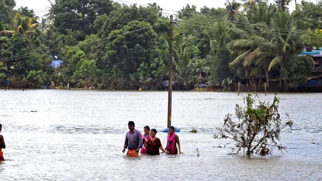 Über 400 Monsuntote im südindischen Bundesstaat Kerala: Passanten waten durchs hüfthohe Wasser in  Karinganthurth.
