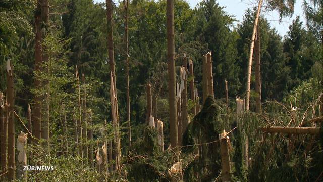 Millionen-Unwetterschaden in Stammheim