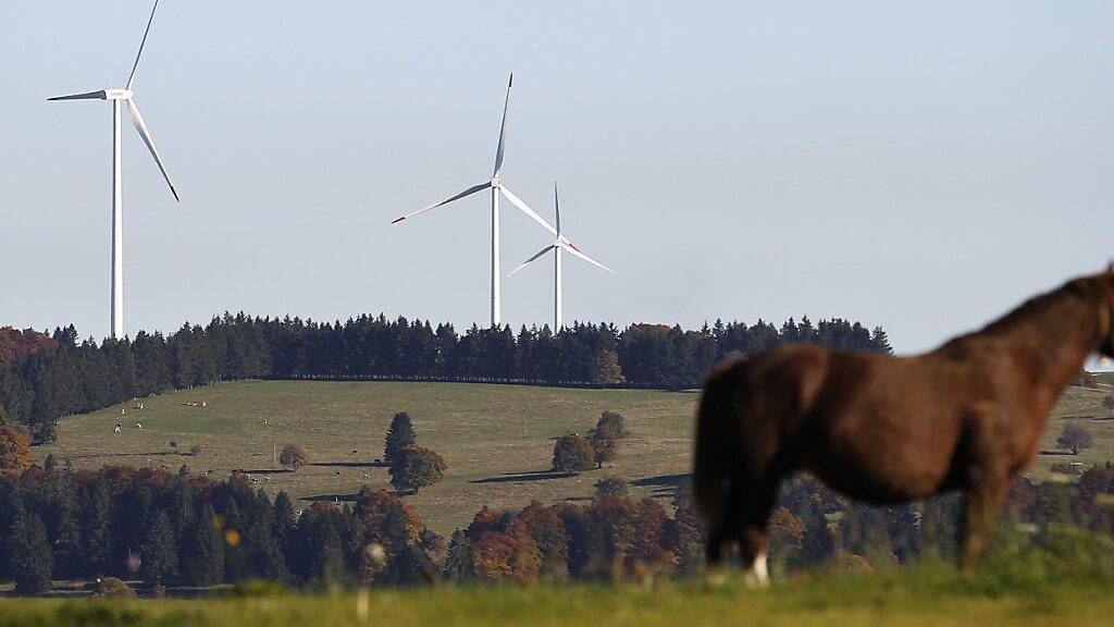 Die Wetzikerinnen und Wetziker wollen keinen fixen Mindestabstand zum nächsten Windrad festschreiben. Es wäre ohnehin unklar gewesen, was ein Ja bedeutet hätte. Im Bild der Windpark Le Peuchapatte im Jura. (Archivbild)