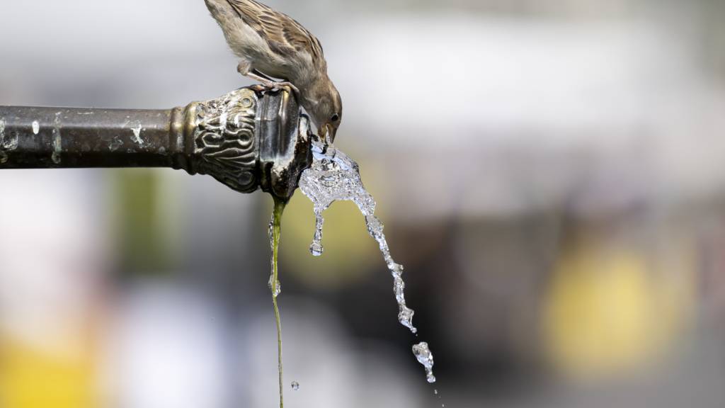 Der Druck auf die Wasserresourcen steigt auch im Kanton Luzern. (Symbolbild)