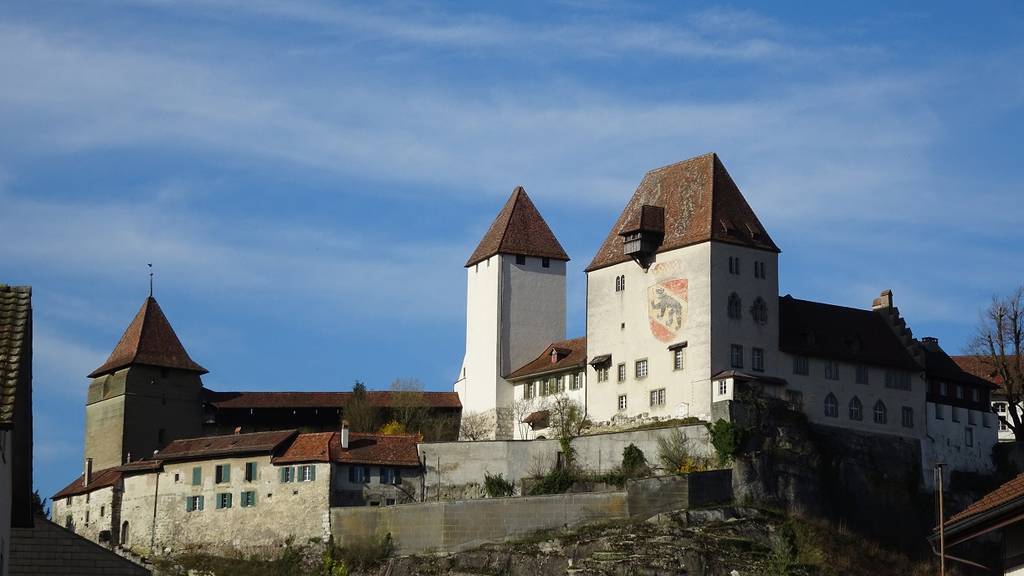 Schloss Burgdorf 