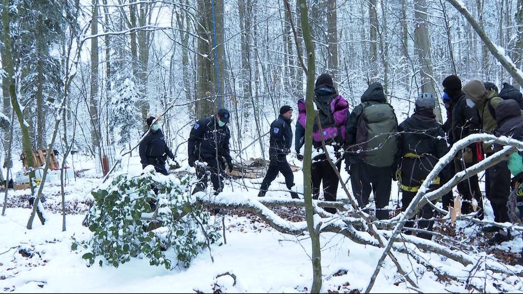 Auf dem Geissberg in Villigen besetzen Klima-Aktivisten ein Waldstück