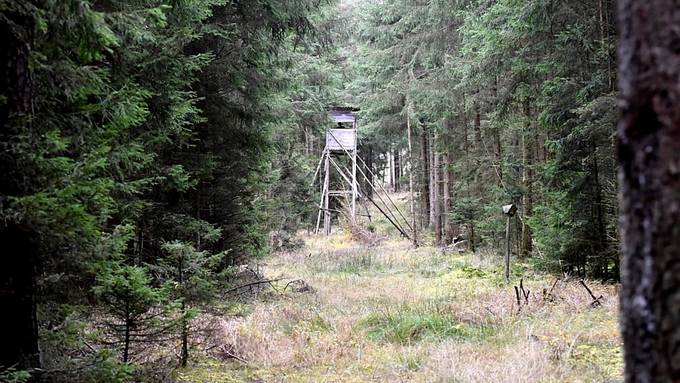 Kanton Uri bläst zur Nachjagd auf weibliche Hirsche