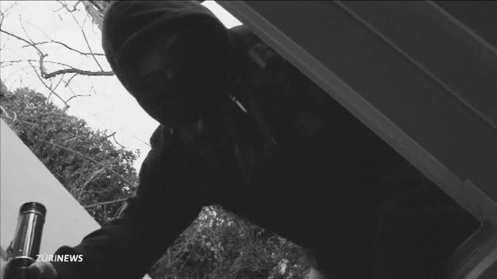 Nationale Plattform soll Polizeiabfragen erleichtern