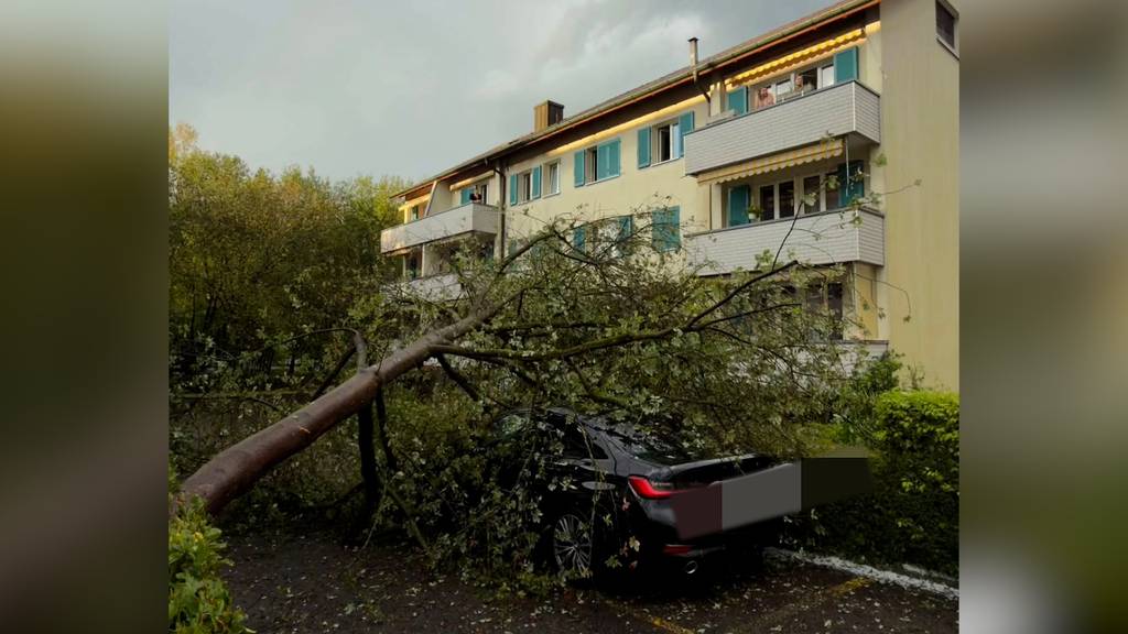 Gewitterzelle sorgt für Schäden in Winterthur und Umgebung