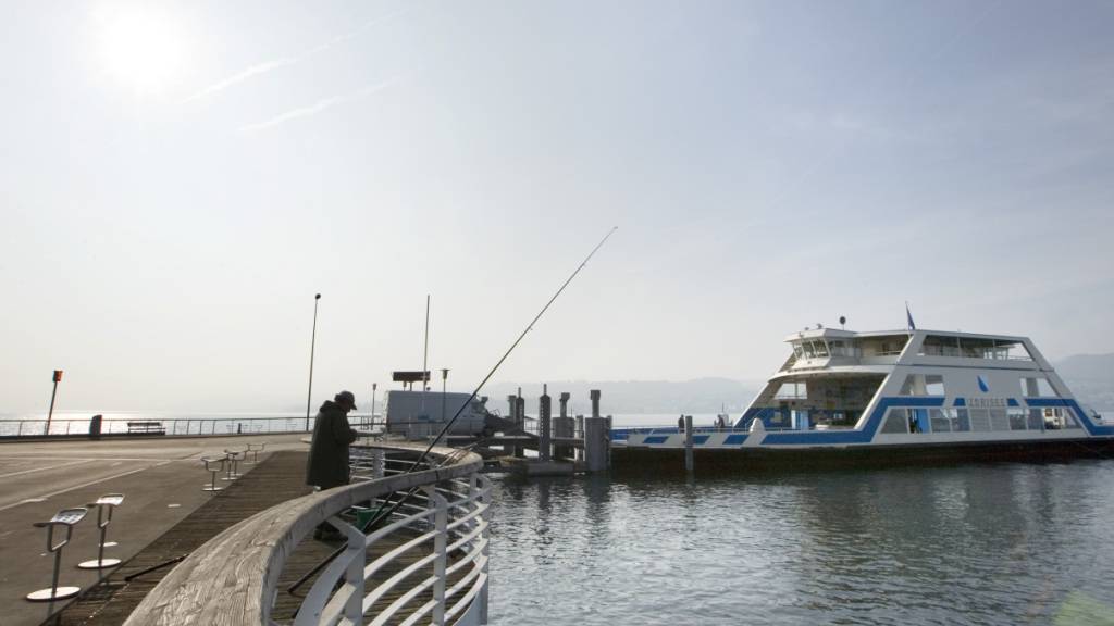 Lastwagen können wegen tiefem Wasserstand nicht auf Zürichsee-Fähre