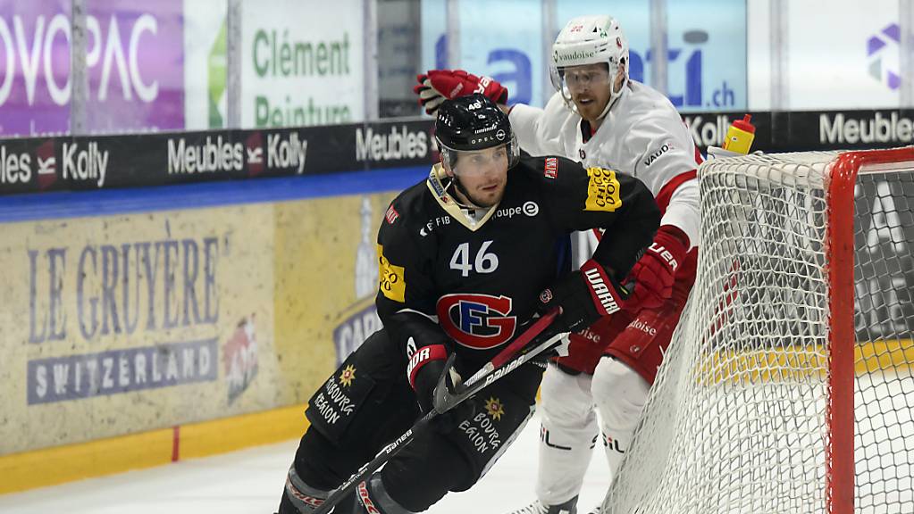 Scl Tigers Verpflichten Rossi Und Noah Meier Bärntoday 0337