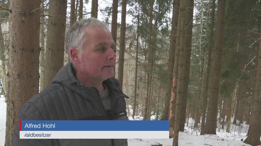 Illegaler Bike Trail sorgt in Grub AR für Aufregung