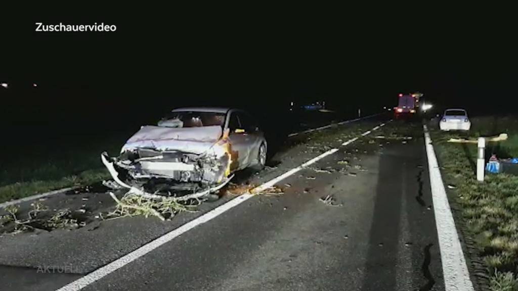 Baum auf Strasse: In Hermetschwil werden drei Autofahrer getroffen.