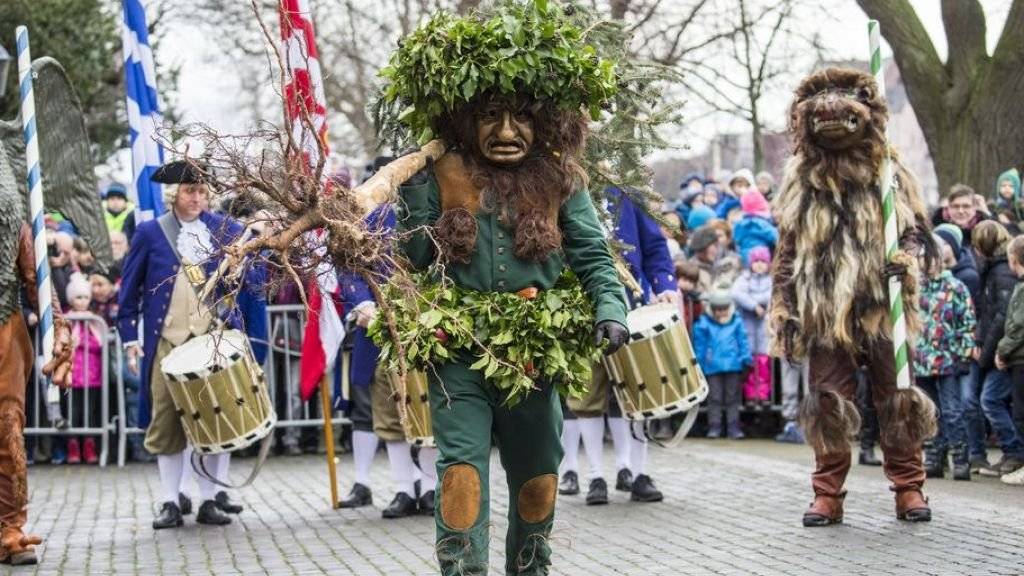 Brauchtum in Basel: Der «Wild Maa» trägt einen über mannshohen Tannenbaum in den Händen.