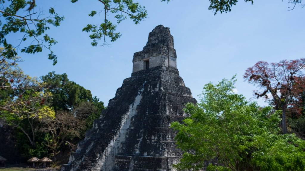 Das Unesco-Weltkulturerbe Tikal (im Bild), eines der bedeutendsten kulturellen Zentren der Maya-Zivilisation, liegt nur rund 40 Kilometer südlich von «Los Abuelos». (Archivbild)