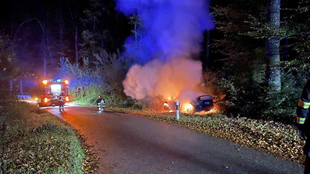 Junglenker kommt von Strasse ab und kollidiert mit Baumstrunk – Auto ausgebrannt