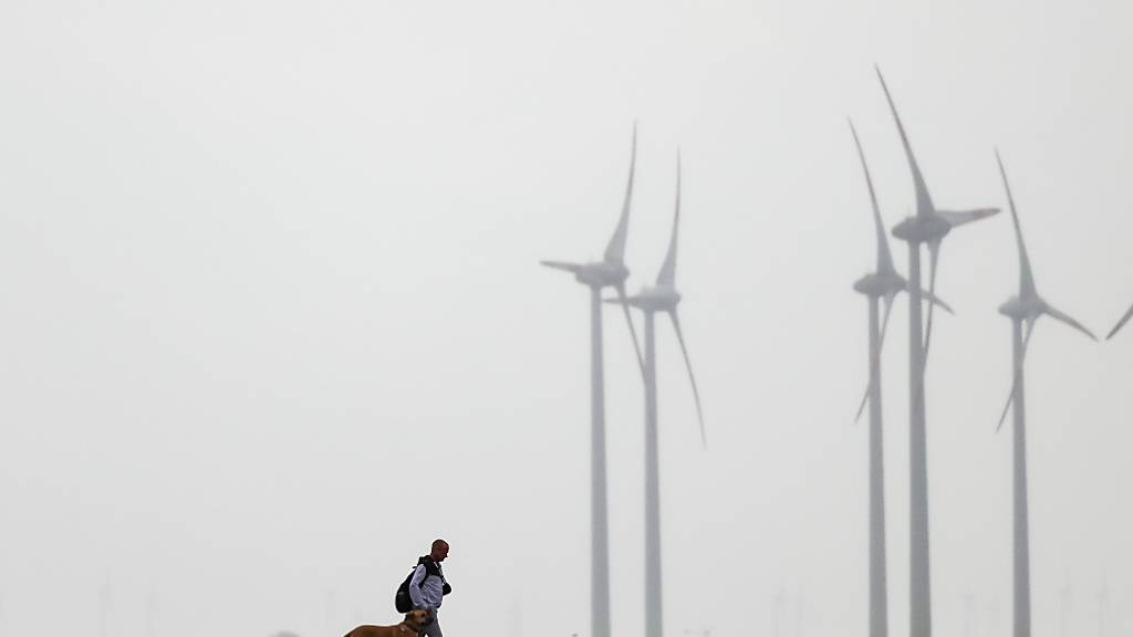 Ein Mann geht mit einem Hund spazieren. Foto: Christian Charisius/dpa