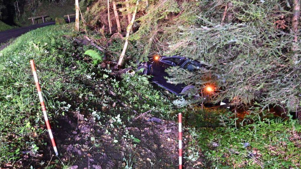 Auto fährt am Schwendelberg in Horw LU in unwegsames Waldstück