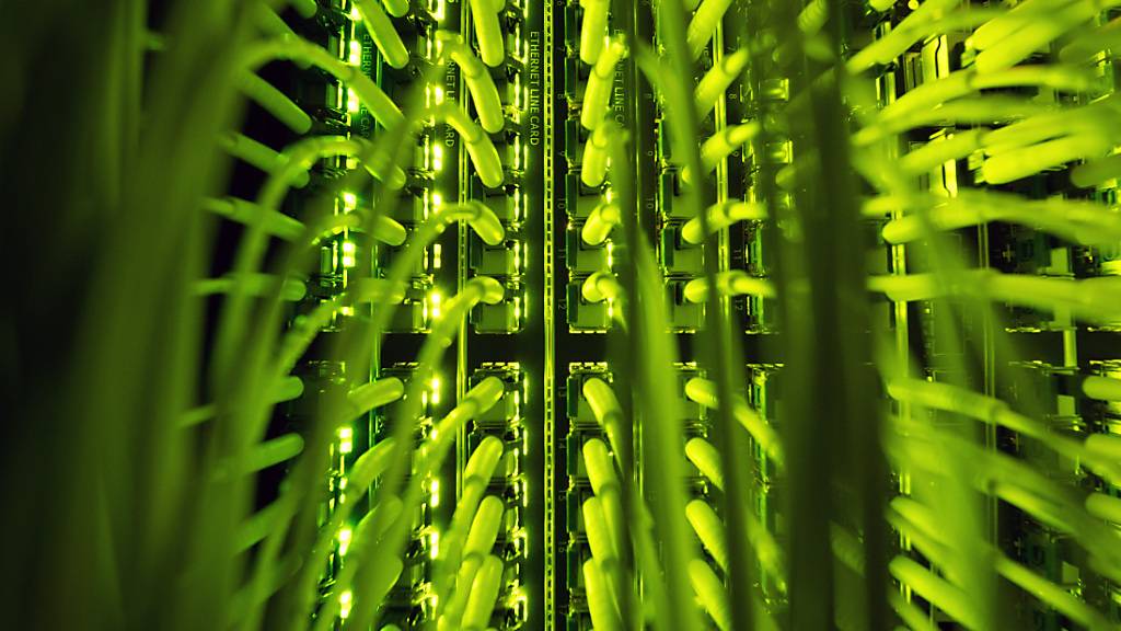 ARCHIV - Zahlreiche Glasfaserkabel, unter anderem zur Übertragung von Hochgeschwindigkeitsinternet, laufen an einem Verteilerpunkt zusammen. Foto: Daniel Reinhardt/dpa