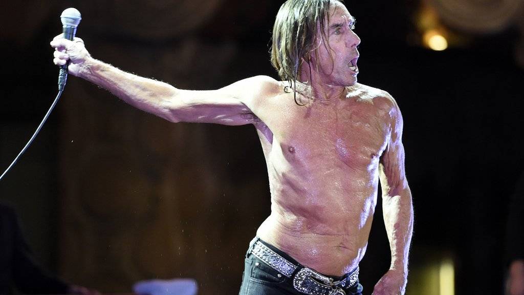 Seit 15 Jahren keine Drogen mehr: Iggy Pop (Archiv)