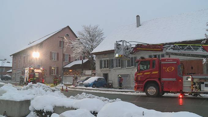 Zwei Hunde sterben bei Wohnungsbrand in Schaffhausen