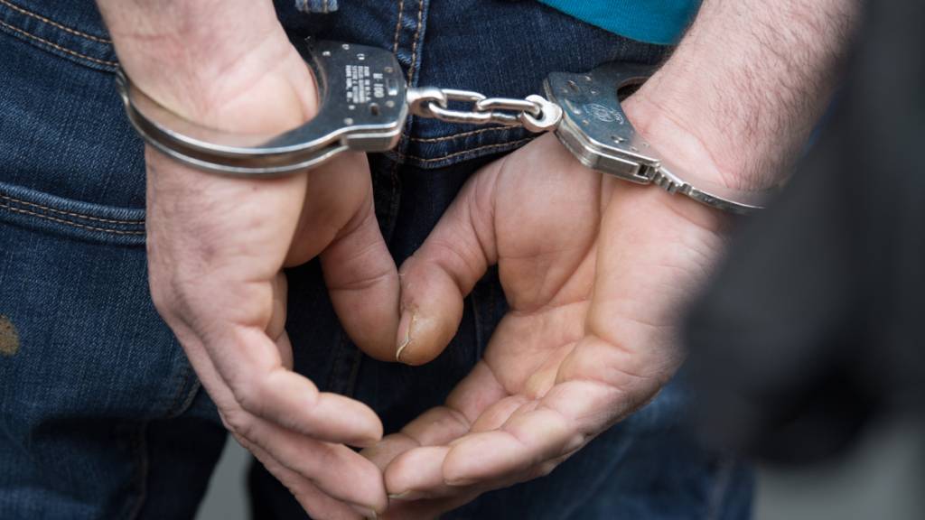 Neun Kilo Kokain in Luzern und Zürich sichergestellt