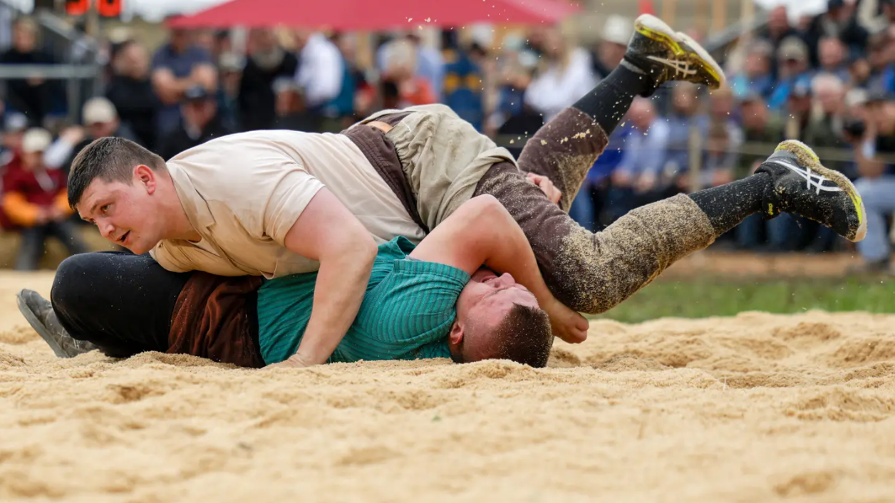schwingen