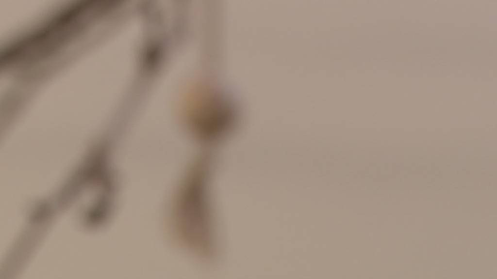 Gütesiegel erhalten: Hospiz St.Gallen wird zertifiziert