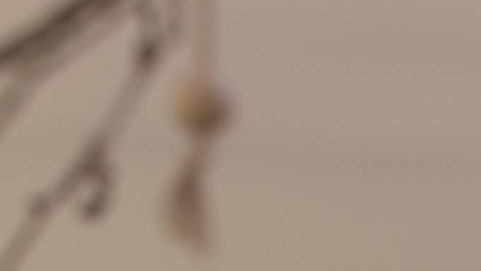 Gütesiegel erhalten: Hospiz St.Gallen wird zertifiziert