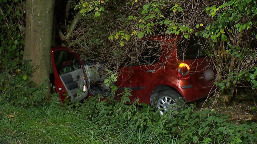 Dottikon (AG): 25-jähriger Autofahrer prallt in Baum