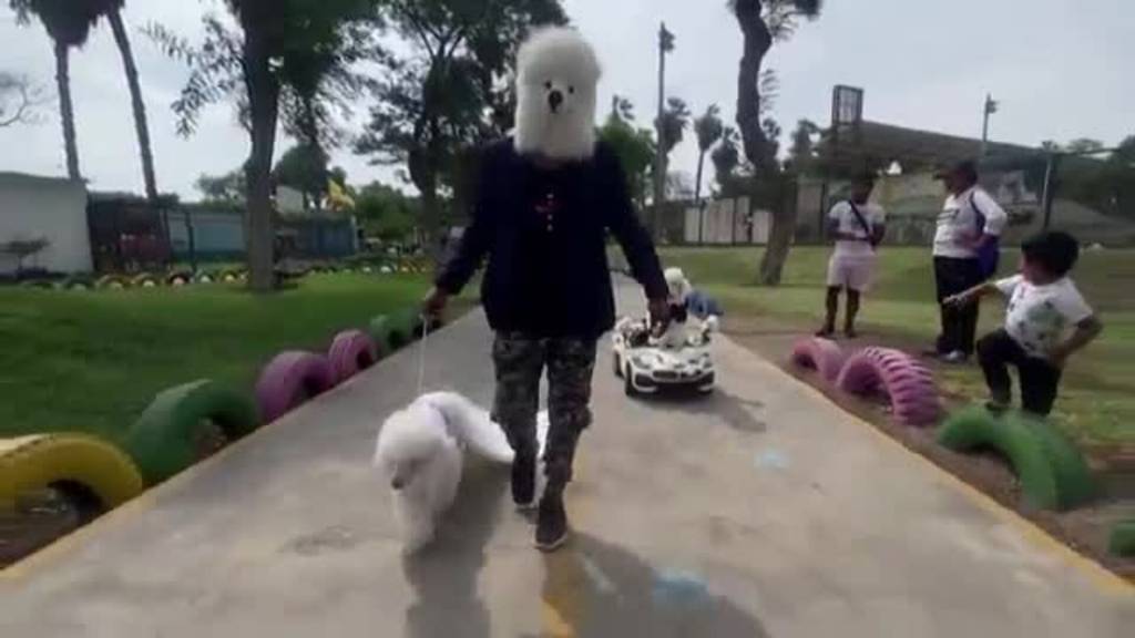 Coco und Dolly feiern Hundehochzeit in Peru
