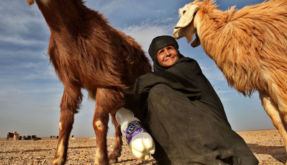 Beduinen schützen sich mit dunkler Kleidung gegen Hitze.