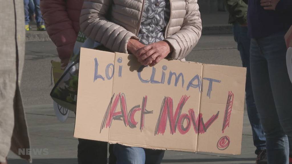 Nationale Klimapetition