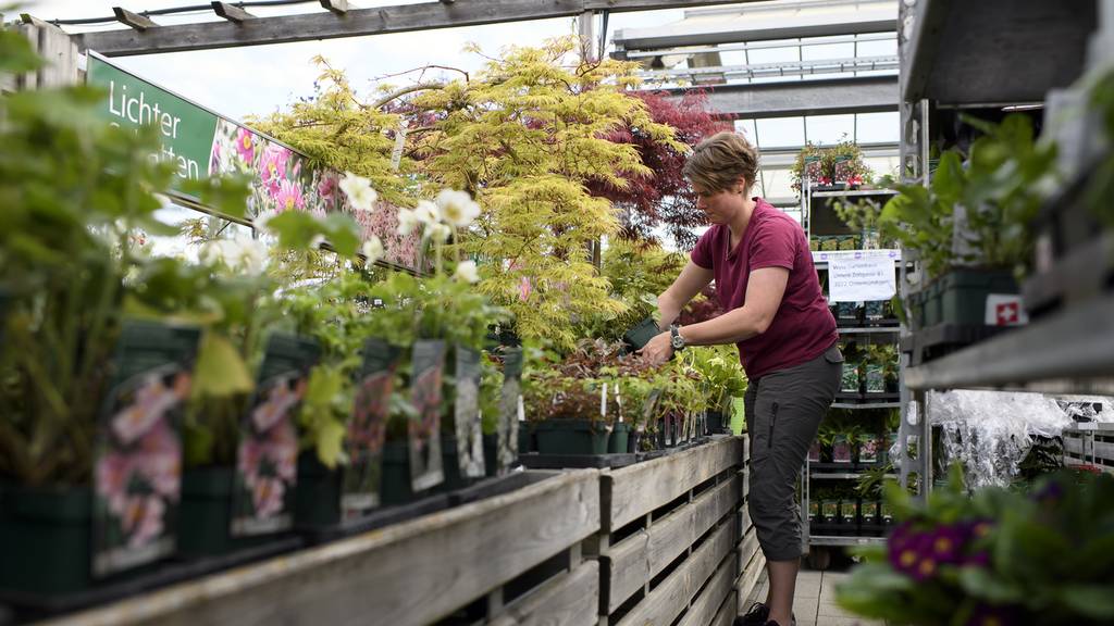 Kunden stürmen die Baumärkte und Gartencenter