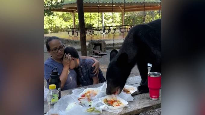 Schwarzbär unterbricht Familien-Picknick in Mexiko