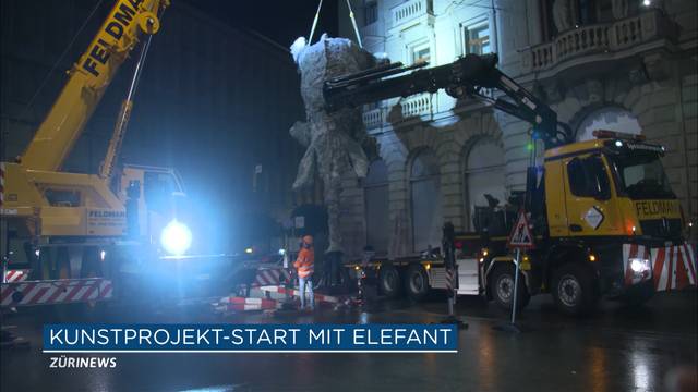 Kunstelefant aus Bronze auf Paradenplatz ausgestellt