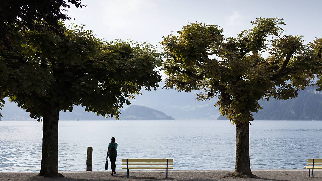 Die Seepromenade von Weggis. (Archivbild)